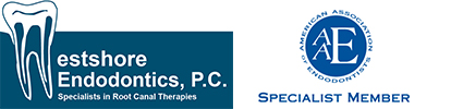 A blue and white logo for spaulding therapies, p. C.
